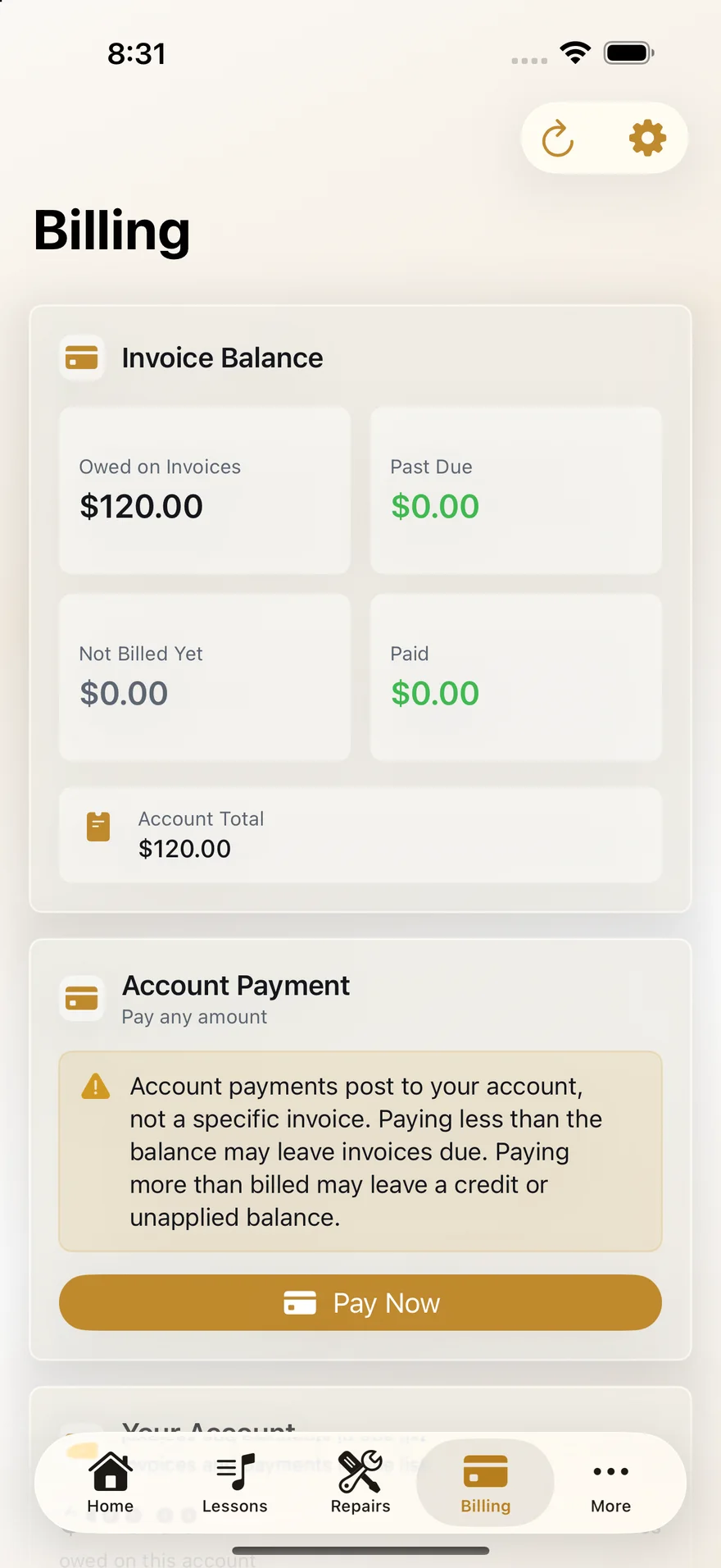 The billing tab of the iPhone app. Four figures — owed on invoices, past due, not billed yet and paid — sit above the account total, then an account payment panel warning that a payment posts to the account rather than to one invoice.